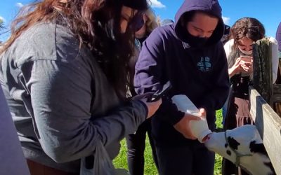 Milky Way Farm Field Trip