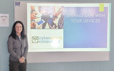 Cybersafety assembly